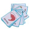 20 pcs Sea Animals Flash Cards for Toddlers | Marine Animals Learning Cards & Montessori Pocket Cards Perfect for Pre-K Wall Stickers and Insect Themed Party, Teacher/Autism Therapists Tools view 1
