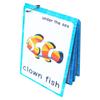20 pcs Sea Animals Flash Cards for Toddlers | Marine Animals Learning Cards & Montessori Pocket Cards Perfect for Pre-K Wall Stickers and Insect Themed Party, Teacher/Autism Therapists Tools view 2
