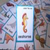 20 pcs Sea Animals Flash Cards for Toddlers | Marine Animals Learning Cards & Montessori Pocket Cards Perfect for Pre-K Wall Stickers and Insect Themed Party, Teacher/Autism Therapists Tools view 3
