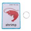 20 pcs Sea Animals Flash Cards for Toddlers | Marine Animals Learning Cards & Montessori Pocket Cards Perfect for Pre-K Wall Stickers and Insect Themed Party, Teacher/Autism Therapists Tools view 4