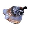 WILD REPUBLIC California Quail view 1