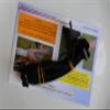 Outdoorsy Supplies First Ride Harness for Kids. Pedal or Balance Bike Trainer, no Training Wheels view 3