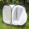 Insect and Butterfly Habitat Cage Terrarium Pop-up 12 X 12 X 12 Inches view 4
