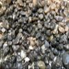 Rock Tumbler Gem Refill Kit New Mexico Apache Tears Black Obsidian (Volcanic Glass) Mix Rough 8 oz view 3