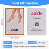 34PCS/Set Body Parts Kids Gifts English Flash Cards Pocket Card Educational Learning Baby Toys for Children Pre-Kindergarten view 2