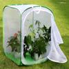 RESTCLOUD 36" Large Monarch Butterfly Habitat, Giant Collapsible Insect Mesh Cage Terrarium Pop-up 24 x 24 x 36 Inches view 4