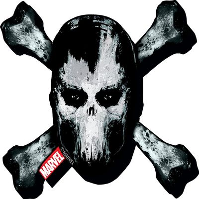Aquarius Captain America Civil War Crossbones Logo Funky Chunky Magnet