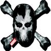 Aquarius Captain America Civil War Crossbones Logo Funky Chunky Magnet view 1