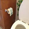SummitLink 1 Roll $100 Hundred US Dollar Bill Toilet Paper Tissue Napkin Prank Fun Birthday Party Novelty Gift Idea view 1