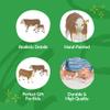 Big Country Toys Hereford Cow & Calf - 1:20 Scale - Hand Painted - Farm Toys - Farm Animal Toys view 3