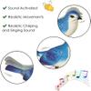 Haktoys Realistic Chirping Bird Toy, Sound Activated Interactive Bird with Natural Sounds, Desk Organizer with Pen Holder & Mini Drawer, Lifelike Desk Decor for Home or Office view 2