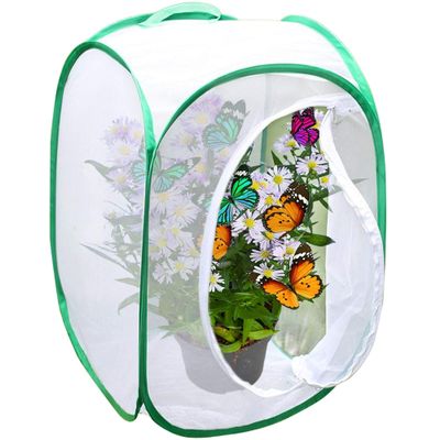 SunGrow Foldable Butterfly Habitat, 24" Butterfly Cage for Caterpillars, Create Farm, Enclosure for Breeding Soldier Fly, Ladybug, Dragonfly, or Housefly for Chicken and Reptile Feed, Green