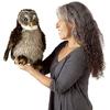 Folkmanis 3135 Hooting Owl Hand Puppet, One Size, Multicolor view 3