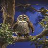 Folkmanis 3135 Hooting Owl Hand Puppet, One Size, Multicolor view 4