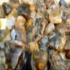 Rock Tumbler Gem Refill Kit Yellowstone,Montana Black Dendrite Agate Rough 8 oz view 2