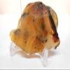 Rock Tumbler Gem Refill Kit Yellowstone,Montana Black Dendrite Agate Rough 8 oz view 3