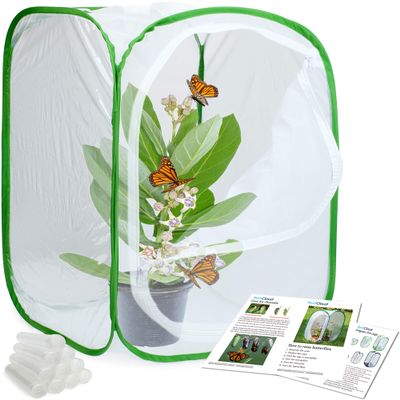 RESTCLOUD Insect and Butterfly Habitat Cage Terrarium Pop-up 24 Inches Tall with 10Pcs 10ML Floral Tubes
