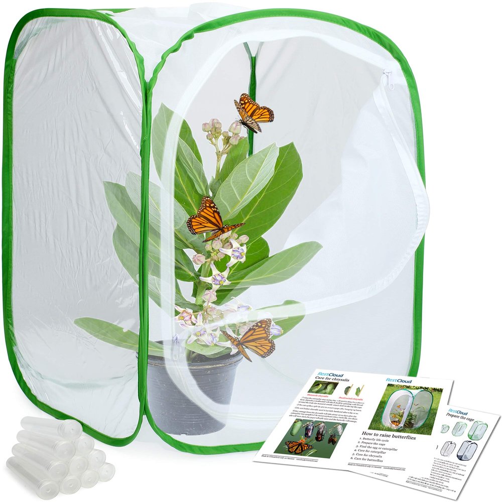 RESTCLOUD Insect and Butterfly Habitat Cage Terrarium Pop-up 24 Inches Tall with 10Pcs 10ML Floral Tubes