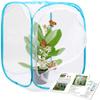 RESTCLOUD Insect and Butterfly Habitat Cage Terrarium Pop-up 24 Inches Tall view 1