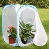RESTCLOUD Insect and Butterfly Habitat Cage Terrarium Pop-up 24 Inches Tall view 3