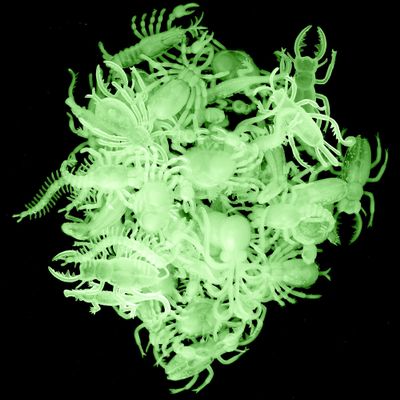 Glow in the Dark Insects - 144 Pieces - Party Favor and Prank Toys - Assorted Reptiles and Bugs Toys Great for Halloween, Birthday Parties, Piatas, Prizes and More - by Skeleteen