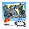 ViewMaster- San Diego Zoo - 3 Reels on Card - NEW view 1