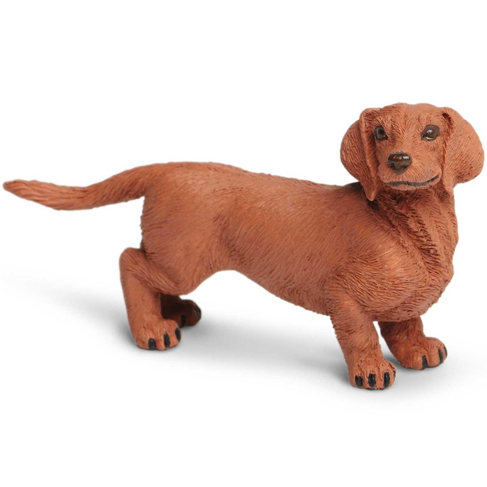 Safari Ltd. Dachshund Figurine - Detailed 3.75" Plastic Model Figure - Fun Educational Play Toy for Boys, Girls & Kids Ages 3+