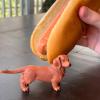 Safari Ltd. Dachshund Figurine - Detailed 3.75" Plastic Model Figure - Fun Educational Play Toy for Boys, Girls & Kids Ages 3+ view 2