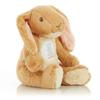 Kids Preferred Guess How Much I Love You Nutbrown Hare Bean Bag Plush, 9 inches (96784) view 1