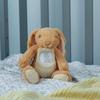 Kids Preferred Guess How Much I Love You Nutbrown Hare Bean Bag Plush, 9 inches (96784) view 2