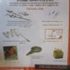 Grow Eat Happy Healthy Kids view 2