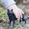 Safari Ltd. Black Wolf Figurine - Realistic 5.3" Figure - Educational Toy for Boys, Girls, and Kids Ages 1+ view 2