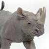 Safari Ltd. Black Rhino Figurine - Lifelike, Hand-Painted 5.75" Model Figure - Educational Toy for Boys, Girls & Kids Ages 3+ view 4