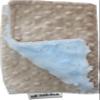 Lil' Cub Hub Minky Burp Cloth, Mocha Dot/Blue Rosebud view 1