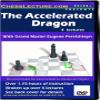 Chess Lecture The Accelerated Dragon Volume 22 view 1