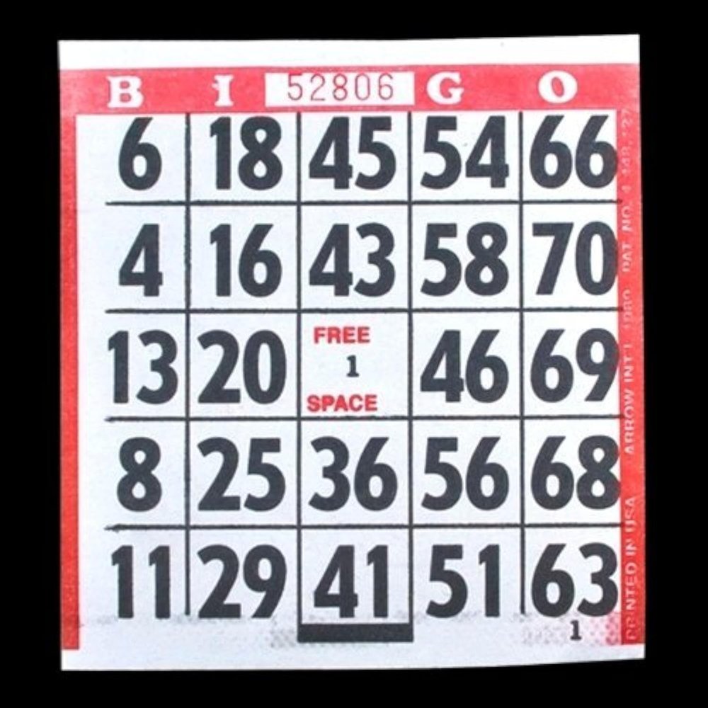 1 on Large Print Easy Read Bingo Paper Game Cards - Red - 500 cards - 4.25 Inch Square Size Disposable Cards - No Duplicates - Made in USA