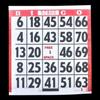 1 on Large Print Easy Read Bingo Paper Game Cards - Red - 500 cards - 4.25 Inch Square Size Disposable Cards - No Duplicates - Made in USA view 1