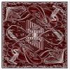 Albino Dragon The Name of The Wind Playing Cards - Unlimited view 3