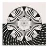 Kaleidograph Contrast view 1