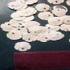 100 Pcs White Arrowhead Sand Dollars Sea Shell Craft 1/2" - 3/4" view 2