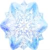 Glistening Snowflakes Balloon Bouquet view 4