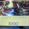 Alan Giana Morning Day Dream Puzzle 1000 Pieces view 1