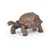 Papo Galapagos Tortoise Toy Figure view 1