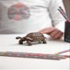 Papo Galapagos Tortoise Toy Figure view 2