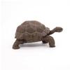 Papo Galapagos Tortoise Toy Figure view 3