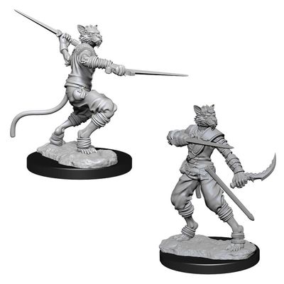D&D Nolzurs Marvelous Unpainted Miniatures: Wave 7: Male Tabaxi Rogue