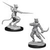 D&D Nolzurs Marvelous Unpainted Miniatures: Wave 7: Male Tabaxi Rogue view 1
