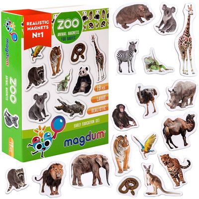 19 Fridge Magnets for Toddlers - Zoo Animal Magnets for Refrigerator - Real Zoo Animal Magnets for Children - Big Realistic Magnets for Kids - Learning Toy Set - Baby Educational Gift
