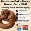 Nicky Bigs Novelties Deluxe Fake Dog Poop Crap Pile - Realistic Fake Poop - Funny Pranks for April Fools Day - Adult Gags April Fools Prank Jokes - Plastic Novelty Gift, Brown view 2