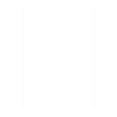 Legion Supplies DP: Small: Double Matte WH (60)